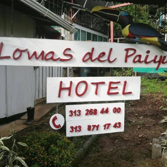 Hotel Lomas Del Paiyue Puerto Nariño Buitenkant foto